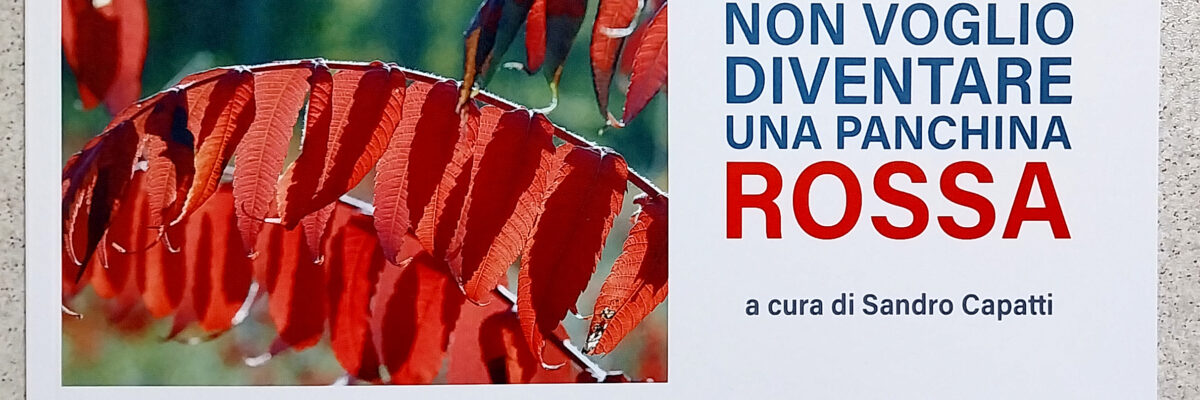 Non voglio diventare una panchina rossa: donne, violenza e futuro negli scatti di Sandro Capatti